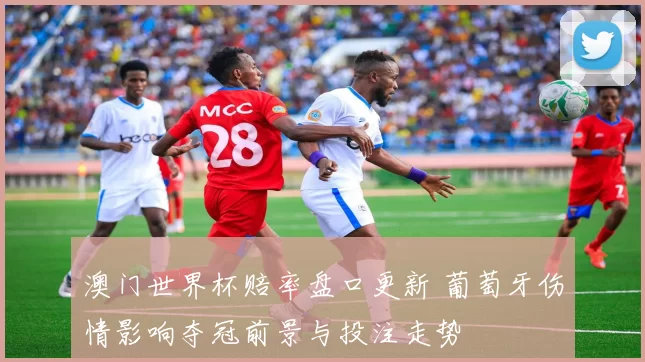 澳门世界杯赔率盘口更新 葡萄牙伤情影响夺冠前景与投注走势