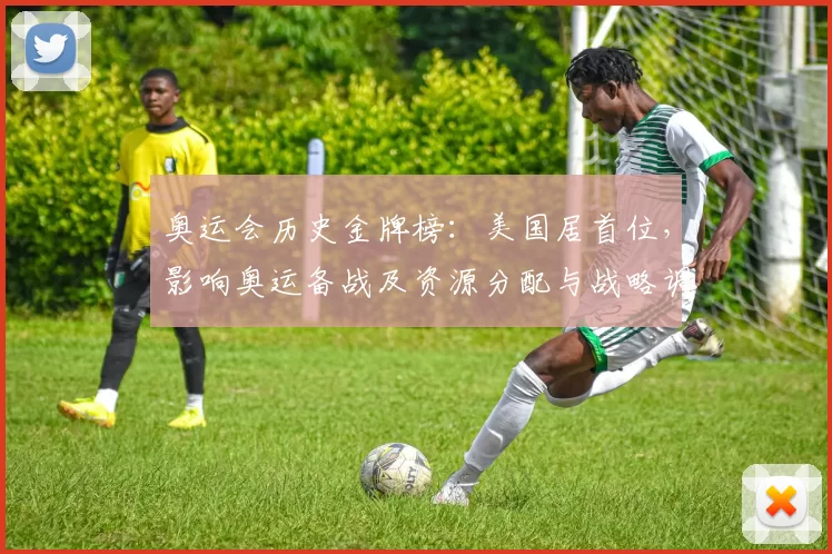 奥运会历史金牌榜：美国居首位，影响奥运备战及资源分配与战略调整