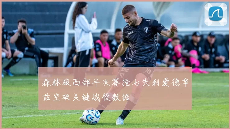 森林狼西部半决赛抢七失利爱德华兹空砍关键战役数据