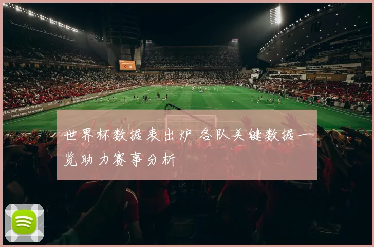 世界杯数据表出炉 各队关键数据一览助力赛事分析