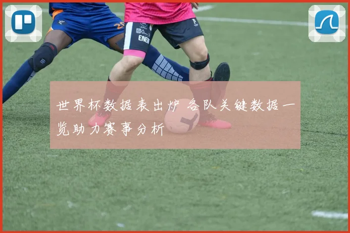 世界杯数据表出炉 各队关键数据一览助力赛事分析